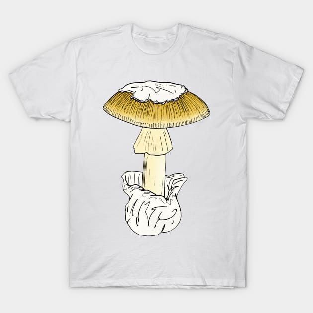 Amanita calyptroderma T-Shirt by Stanton